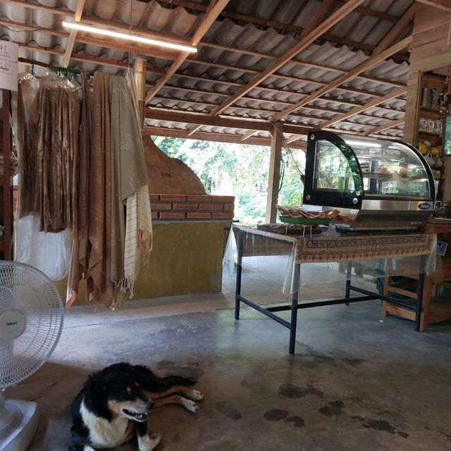 ร้านบ้านชาในป่าฝน Tea House in Rainforest