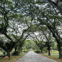 大恩公園：自然景觀，春天好去處