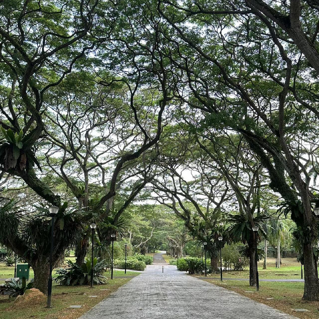 大恩公園：自然景觀，春天好去處