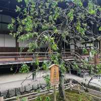 「證誠寺～永恆寧靜」