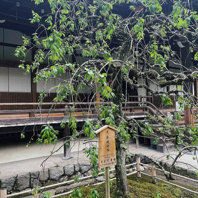 「證誠寺～永恆寧靜」