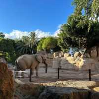 廣州動物園：珍稀動物，放鬆心情的理想去處