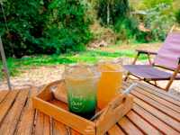 คาเฟ่น่ารักๆ บ่อเกลือ…หลงเขาคาเฟ่