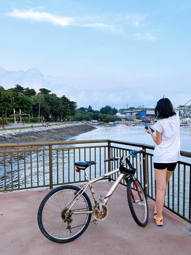 Exploring West Coast Park's Stunning Seaview