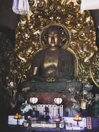 【鎌倉/長谷寺】高台から見る海と紫陽花は天国のよう