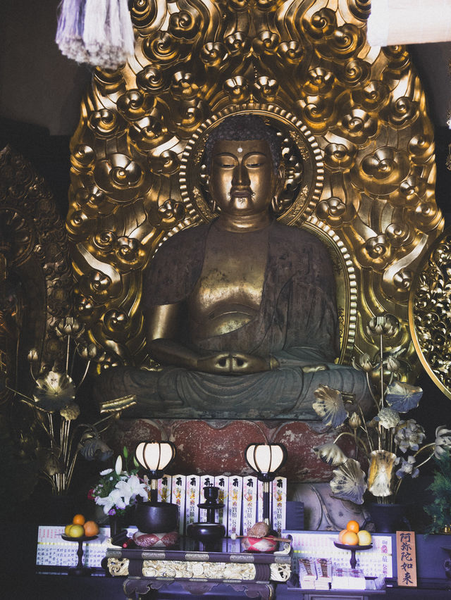 【鎌倉/長谷寺】高台から見る海と紫陽花は天国のよう