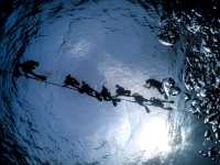 เรียนดำน้ำลึกกับ Koh Tao Scuba Club