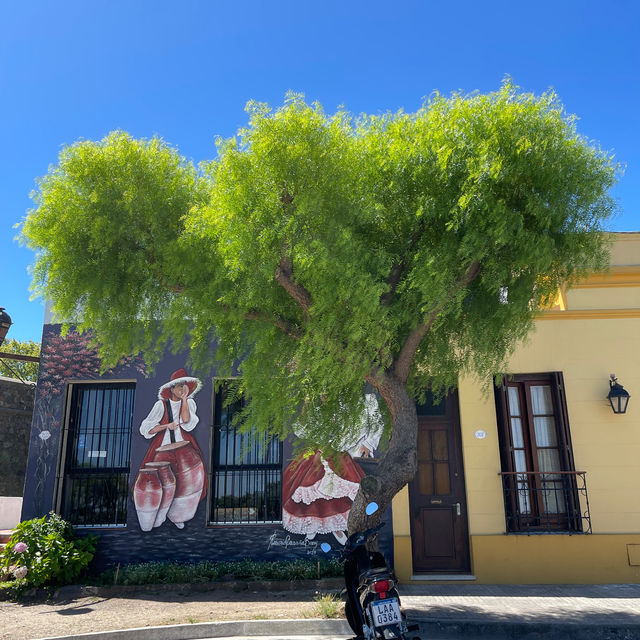 Day Trip from Buenos Aires to Colonia del Sacramento