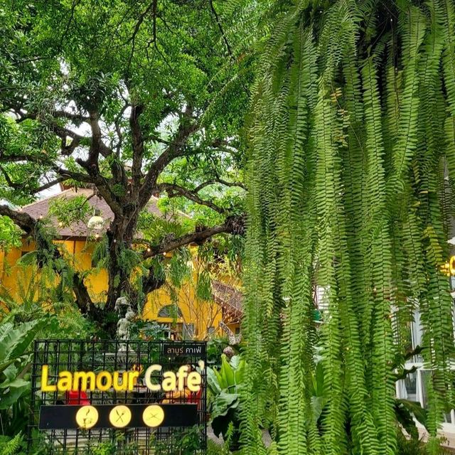 ลามูร์ คาเฟ่สไตล์ยุโรปบ้านสีเหลือง หลังวัดอุโมงค์