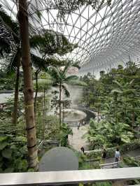 【チャンギ空港】世界一美しい／洗練された空港／シンガポール