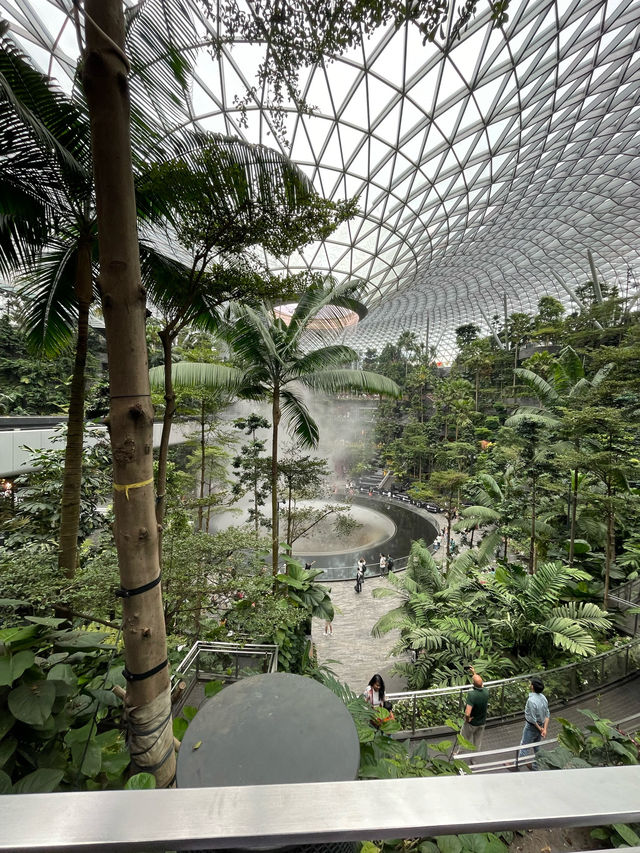 【チャンギ空港】世界一美しい／洗練された空港／シンガポール
