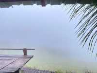 บ้านระเบียงนา ป่าบงเปียง
