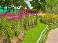 Highlighting its role as a spiritual hub in Southeast Asia🇲🇾