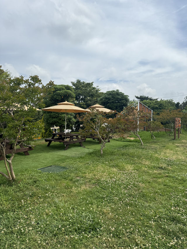 귀여운 젖소들을 아주 가까이에서 볼 수 있는 이색 목장 ✨
