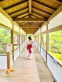 〜京都府〜絶世の美女のお寺さん歴史を感じる雅なお寺