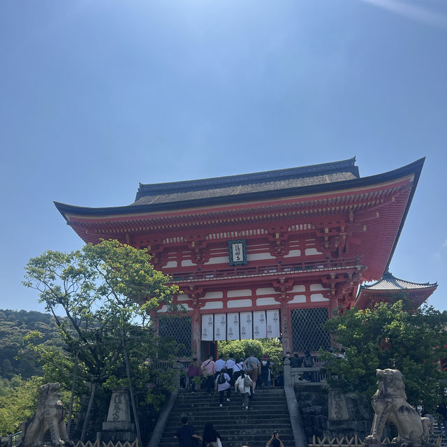 교토 기요미즈데라 후기 🌸✨