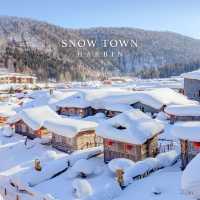 Snowtown Harbin