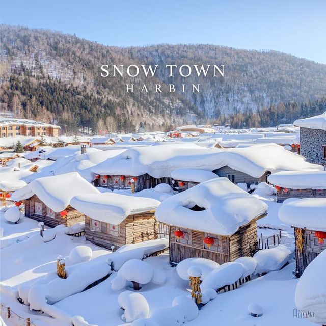 Snowtown Harbin