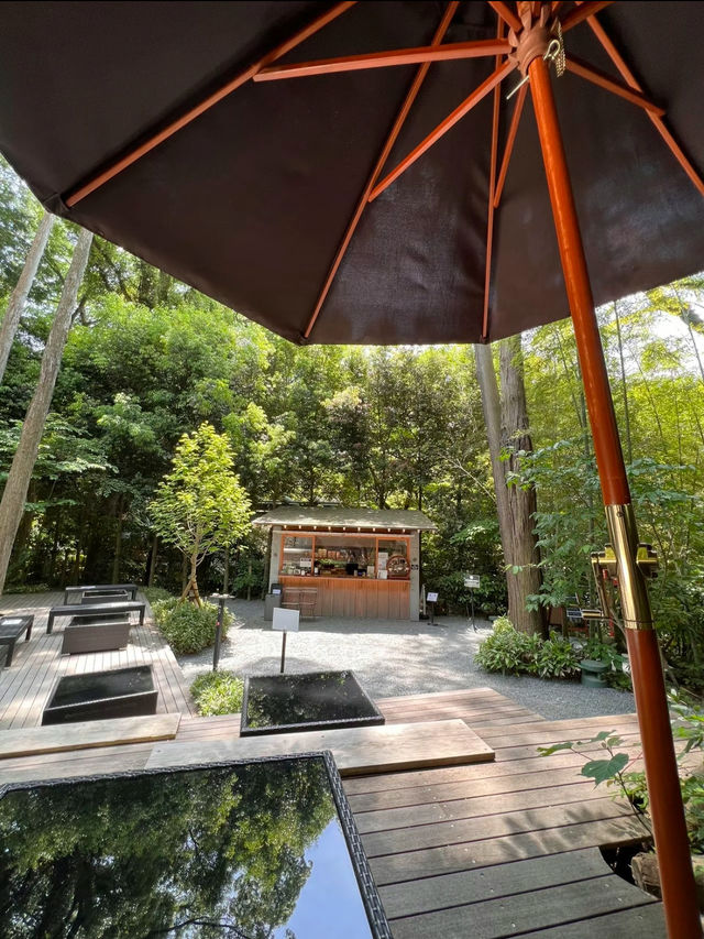 え、ココ神社なの?!えんむすび最強神社で癒されよう🤍