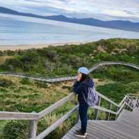 Discover Tasmania's East Coast 🇦🇺🌊