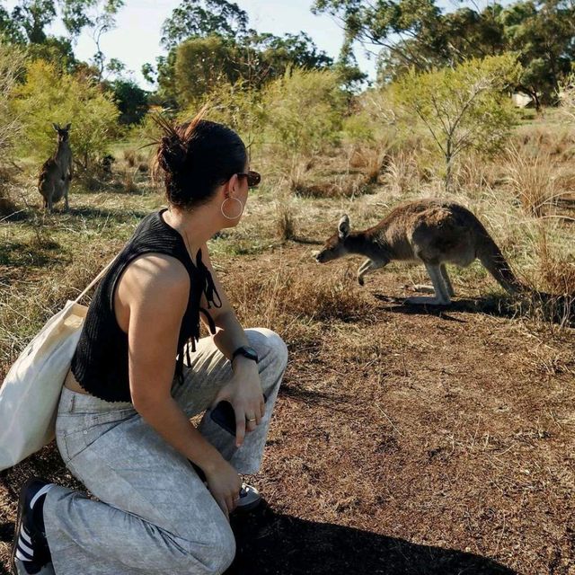 Kangaroo Island: Nature's Wonderland 🏝️🦘