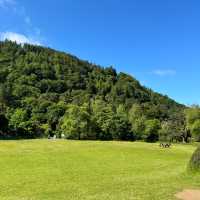 Historical journey to Ireland medieval past 