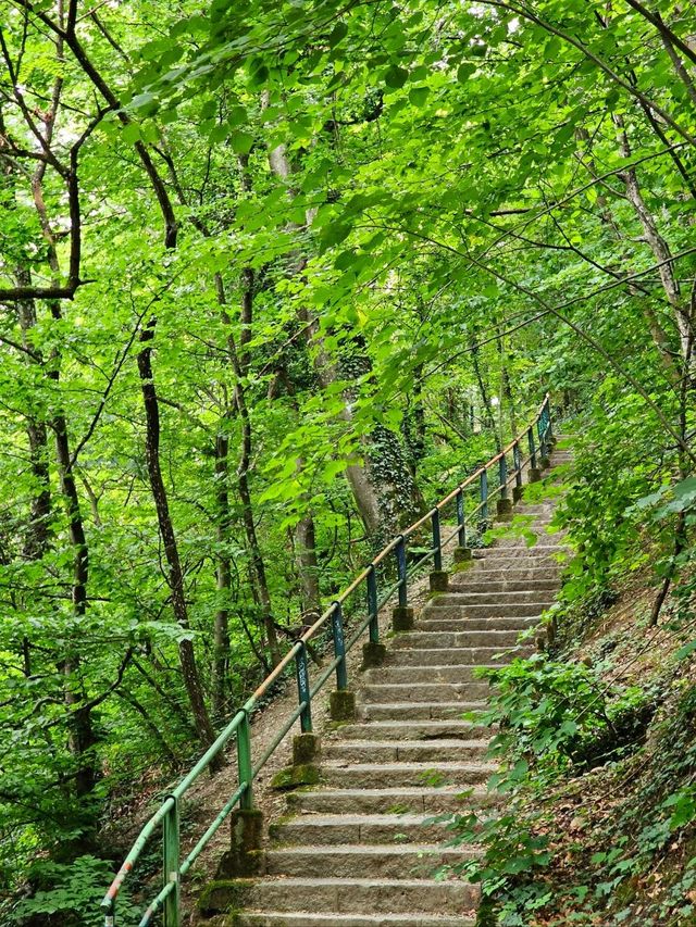 🇨🇭 스위스 제네바 바띠 산림 공원에서 피서를 즐기다!