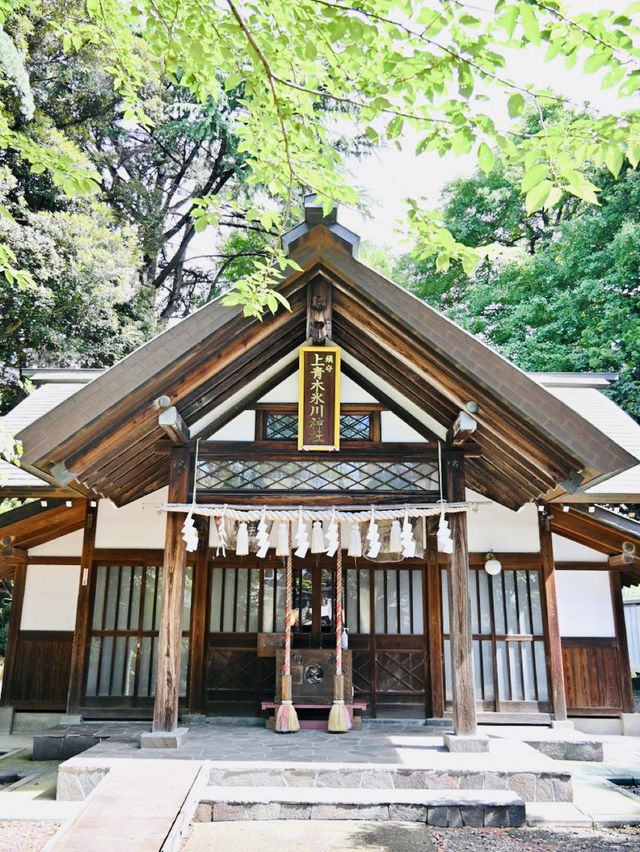 【上青木氷川神社/埼玉県】分村された旧上青木村鎮守の神社