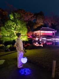 〜京都府〜世界遺産二条城桜まつり