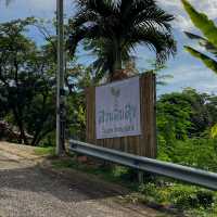 คาเฟ่ภูเก็ต