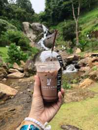 🍵 WTF Coffee Camp