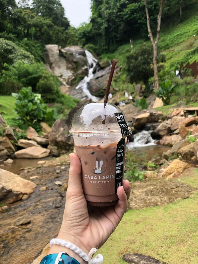 🍵 WTF Coffee Camp