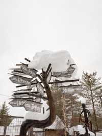 📍Arctic Circle Husky Park