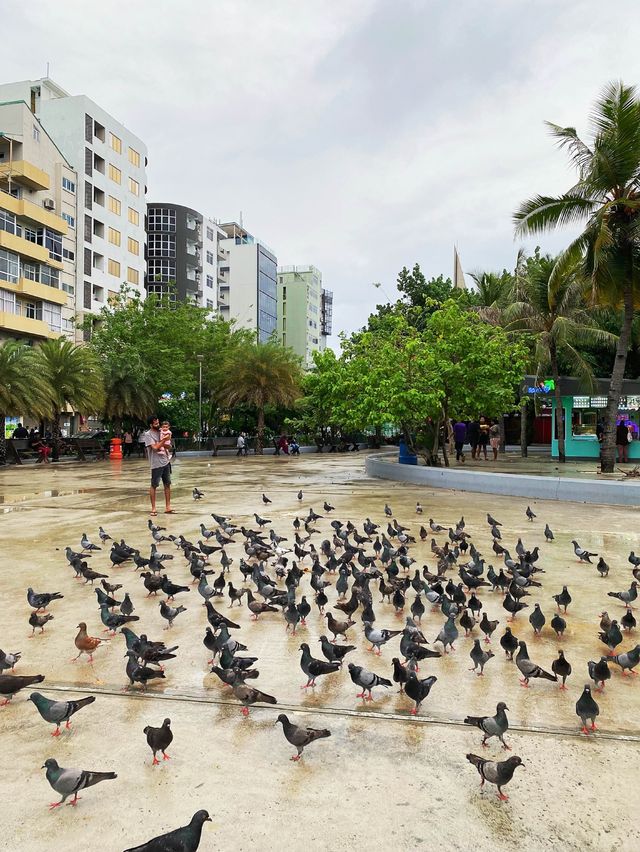 Smallest national capital in the world - MALÉ 🇲🇻