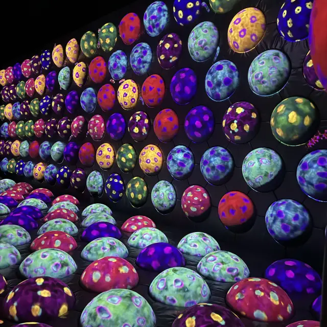 新型美術館，超好拍攝地方🤩