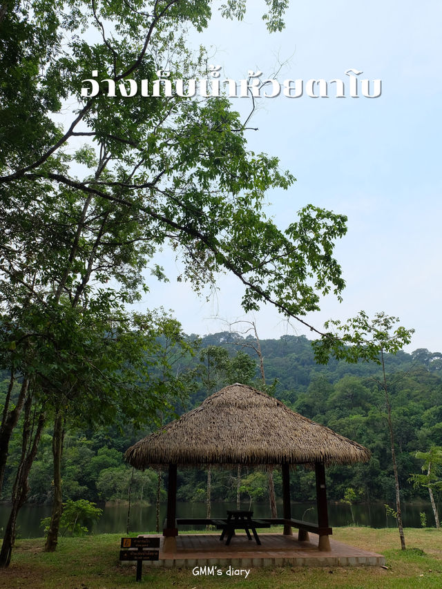 เที่ยวอ่างเก็บน้ำห้วยตาโบ หน้าฝน ป่าสวยมาก 🌲