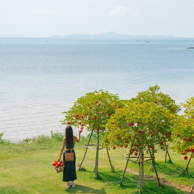รวม 8 ที่เที่ยว ‘พัทยา‘ ที่ควรมาเช็คอิน 🍋🏝️✨