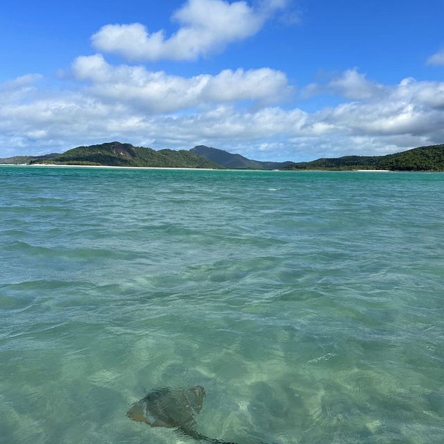Whitsundays, Australia. This place doesn’t look real.