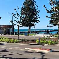 FORSHORE of PT lincoln and its tuna