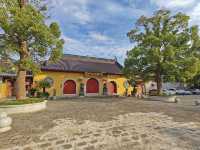 有著600多歲參天銀杏的南山禪寺