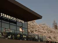 日本北陸最美Starbucks 