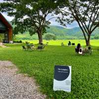 The Enlighten coffee and community