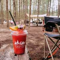 Phupha Coffee Camp