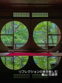 青もみじのリフレクションに酔いしれる【嵐山 祐斎亭】