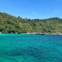 Dive into the Depths of Krabi Island 🌊
