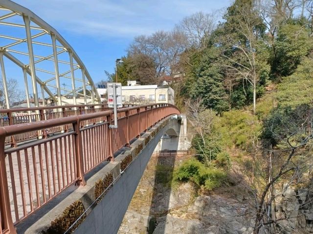 【名勝 天龍峡:長野県飯田市】緑が美しい壮大な渓谷✨