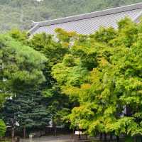 【大阪景點】西之丸庭園：雨中迷人景色～享受日本庭院風情
