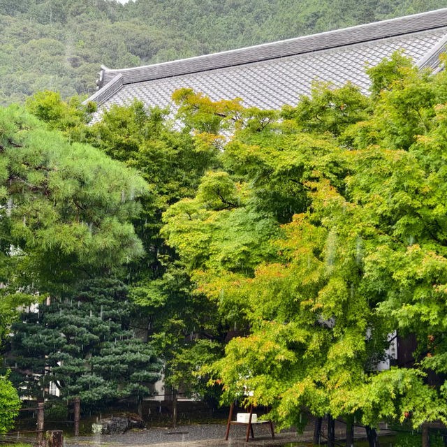 【大阪景點】西之丸庭園：雨中迷人景色～享受日本庭院風情