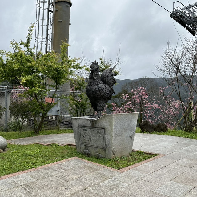 Zhinan Temple ตามหานักสัตว์ 12 ราศี