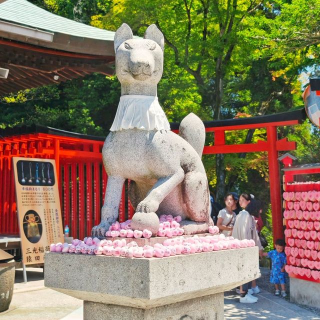 三光稻荷⛩️神社💦洗錢💴之旅
